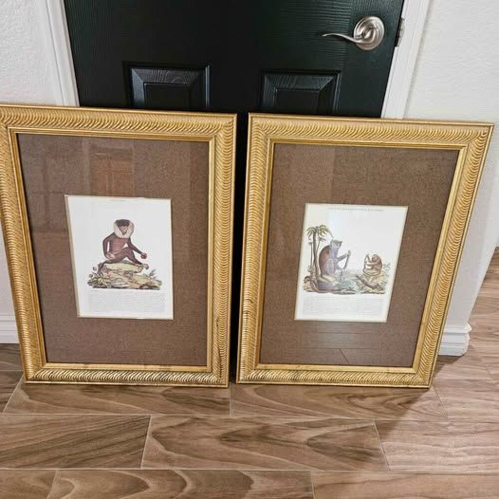 Paragon Picture Gallery Monkey Prints - Set of 2